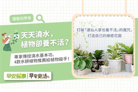 水澆太多怎麼辦|給植物澆水過多時該怎麼挽救